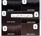 Lichen Brown Hair Color Shampoo 400 ML